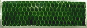 Picture of an artificial biofilm embedded with wild-type cyanobacteria (Anabaena PCC7120)