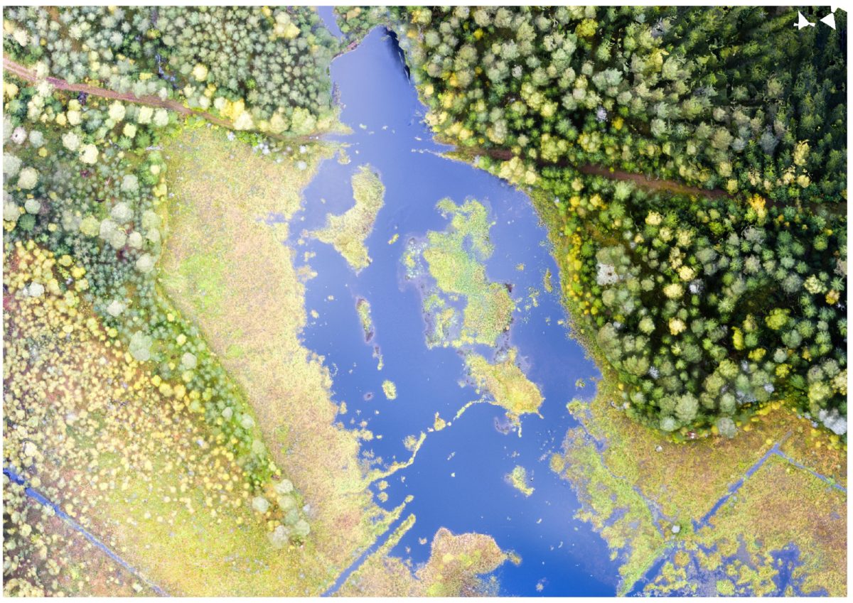 UAV-lennokin ilmakuvista rakennettu ortokuva kosteikosta.© Antti Nykänen