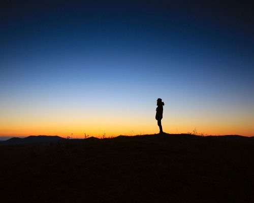 Nessling erikoishaku