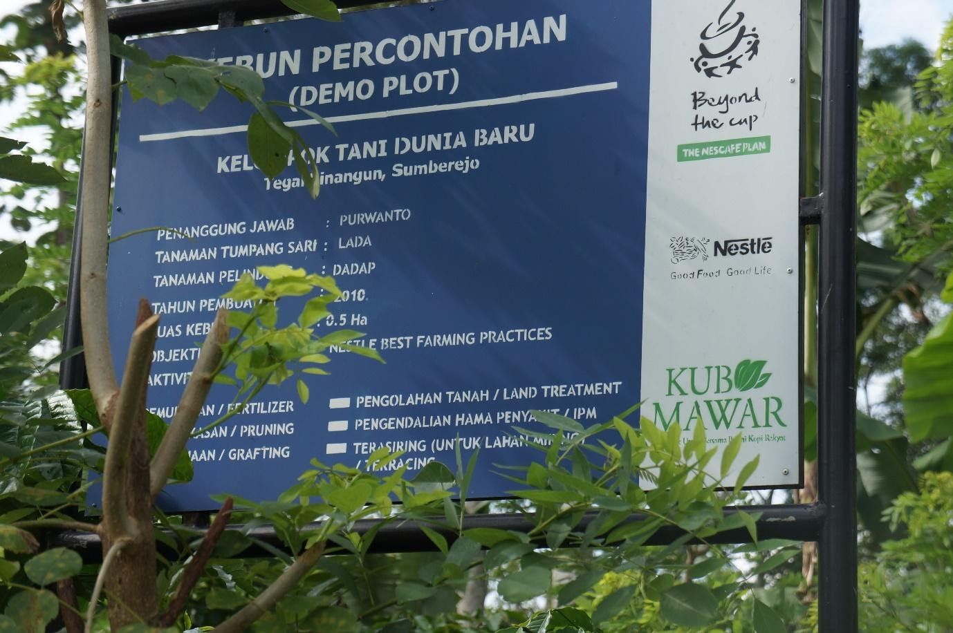 Pratiwi 1 mne company Demo plot for MNE’s company community partnership (source: author)
