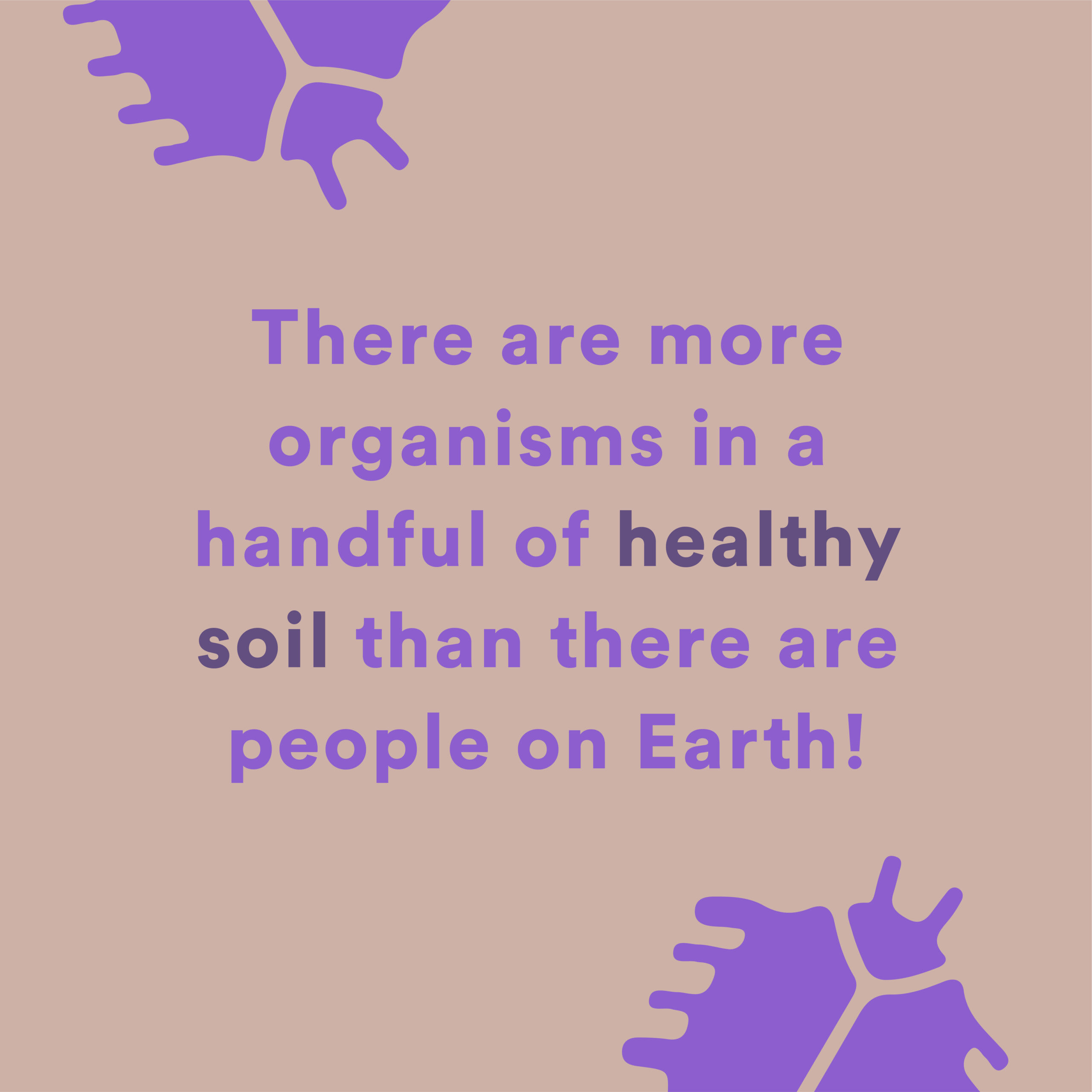 Soil at Risk Soil at Risk
